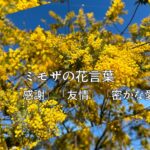 「老けたな」と言わせないし思わせない、50代ここから！