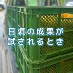 年に一度の繁忙期に向けて、体力づくりをして臨むべし！