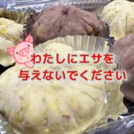 栄養豊富な季節物「栗」をどういうカテゴリーで食す？