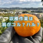 収穫の作業時に、重さに耐える肩は凝る？それとも張る？