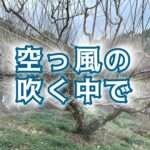 ふとした時に気づく「耳痛」50代に多いその原因とは？