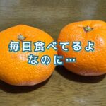 更年期の「物忘れ」誰より困っているのは自分なんだ！