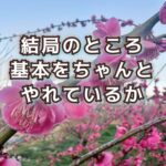 動物と同じように植物にも「糖尿病」ってあるのかな？