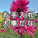 加齢と老化は同じじゃないから、日々のケアで差をつける