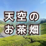 「地滑り」と「天空の茶畑」を巡るドライブに出掛けた！