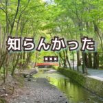 いつもの景色の中に希望を見つける「新緑のメッセージ」