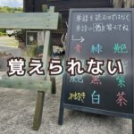 短期記憶に苦労しだした50代に必要な抑制のトレーニング