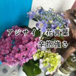 ほんの少し「ゆるめる」時間があるだけでまたがんばれる