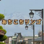 青森の朝は早かった！おちおち寝ていられなかった理由
