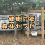 美杉町で感じた森林セラピー ～心地よさと少しの切なさと
