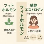 「植物エストロゲン」以上に面白かった植物ホルモンの話