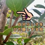 自分の感覚のままにいられる関係にとても感謝しています