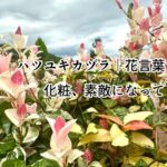 「わかるでしょ⁈」じゃなくて「聞かせて欲しい」から