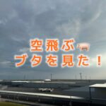 セントレアでまさかの出会い「空飛ぶブタ」を知ってる？
