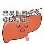 肝臓を安心させる生活習慣で「太らないよう」気をつける