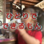 自分で選んで自分で決める！「自分らしい」人との関わり