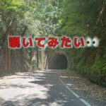 穴があったら入ってみたくなる、それがわたしの本能か⁈