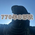 大仏様が教えてくれる力まない生き方とときには急ぎ足も
