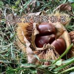 ひとつ気づくと次々と広がる「見える」ってほんと不思議