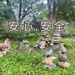 自律神経が整っていると、感覚の受信がスムーズにできる