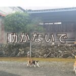 どうにも「動かない」というサインを読み解いてみれば…