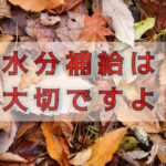 夏の“暑さ”と冬の“乾燥”、どちらも同じように注意して！