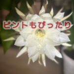 見え方の変化に気づいたら…老眼とうまく付き合うコツ。