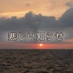別れを静かにうけ止める、早朝の電話は嫌な予感しかない