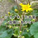 病院の付き添いの話を聴きながら、黄色い花が目にとまる