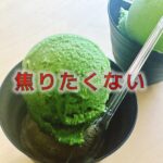 「急がない、慌てない」お喋りの中にあるレッスンの本質