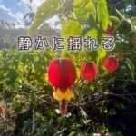 自分には静かでいられても、なぜ他人には心が動くのか!?