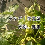 「尊敬する人は？」と訊かれたら、今はこの二人かも？