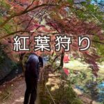 父と二人のドライブで気づいた「歳をとる」ということは