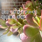 自分の気持ちに向き合ったことがない50代って多いんだよ