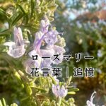 新しい年の始まりに命のことを思えば、今日を雑にしない