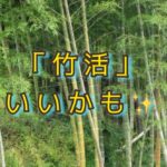 「放置竹林」の話を、ちょっと楽しそうにしてみたいな！