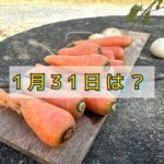 「にんじん」をネタに一日分のブログを書こうと思ったら