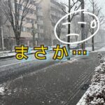 想像力にも、得意と不得意があるということにしておこう