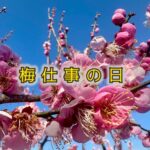 春の空の下「耳は痛みを教えてくれないんだ」と気づく。