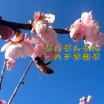 強すぎず、弱すぎず、お身体の塩梅は、いかがですか？