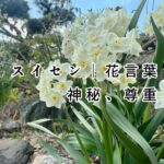 見透かされている気がする、と言われること