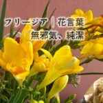 違和感の向こう側に、本当のその人がいるんです