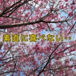 招かれざる客がやってきたもんだから、さあ大変！