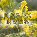 この先もずっと…「ミモザの日」に思い出す人がいる！
