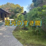 背の低い「赤竹」をカッコよく見せるちょっとしたコツ