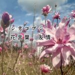 少し立ち止まって振り返る、15年目の春に書いた手紙