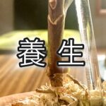 植物は隠さない、でも人は隠せる「不調のサイン」