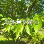 さくら餅から、ワラビまで～体から季節を知る！