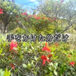 ハサミを入れる勇気！体も植物も「適切な刺激」で蘇る