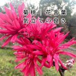 なんかやる気が出なかった日の、ちゃんとした理由